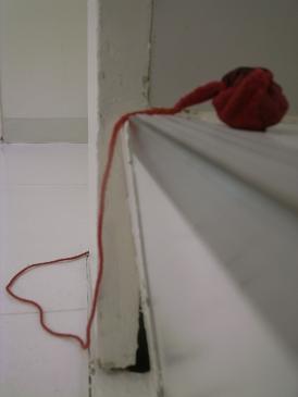 Untitled (installation view)